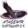 ATAŞEHİR KARTALLARI
