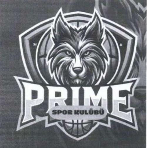 3D SPOR (B)