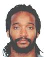 Randal Falker headshot