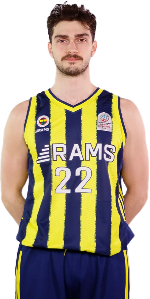 Yiğit Hamza Mestoğlu